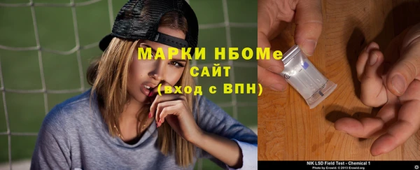 прущие грибы Алзамай