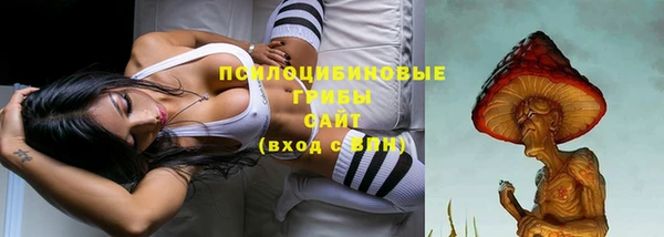прущие грибы Алзамай