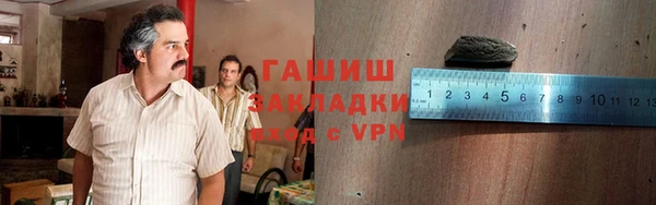 прущие грибы Алзамай